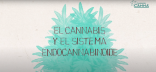 Sistema Endocannabinoide